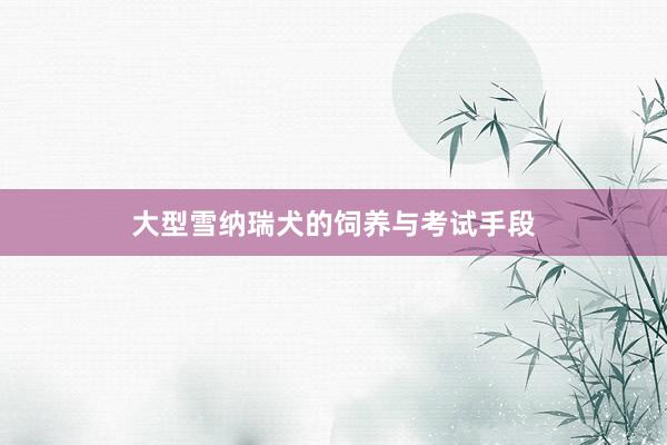 大型雪纳瑞犬的饲养与考试手段