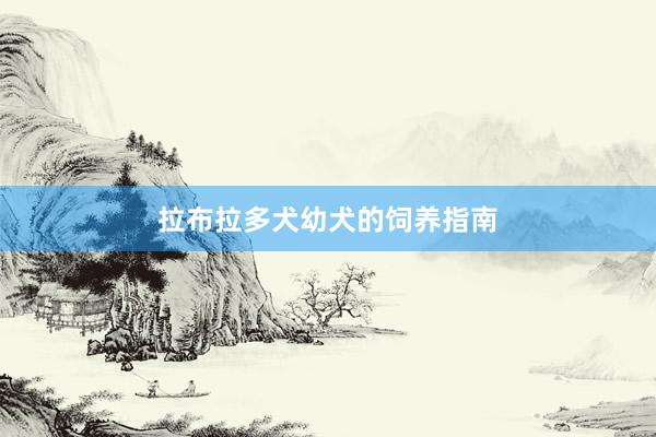 拉布拉多犬幼犬的饲养指南